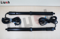 Ouvre-coffre électrique Plug and Play Liush pour Volkswagen T-Cross avec capteur de pied, kit de modernisation