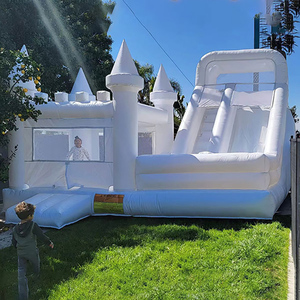 Château sautant gonflable personnalisé d'usine avec toboggans Matériau PVC Location commerciale géante Jeux de piscine de plage Logo personnalisé - Product Image 3