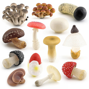 Kit di Apprendimento Precoce per Bambini, Modelli Realistici di Funghi in Miniatura, Giocattoli Statici a Tema Vegetale con Shiitake e Funghi Ostrica - Product Image 1
