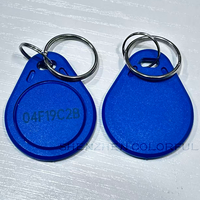 Porte-clés RFID programmable 13,56 MHz en PVC époxy avec carte NFC à bande magnétique pour système de contrôle d'accès et de membre