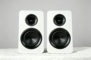 Haut-parleur passif de bibliothèque 5,25'' avec woofer en aluminium couleur cuivre et tweeter en soie, <span class=keywords><strong>crossover</strong></span> audio bidirectionnel pour home cinéma et utilisation informatique - Product Image 2