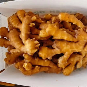 Raiz de Gengibre Fresco Jovem da Marca Heli de Alta Qualidade Direto da Fazenda de Shandong Agricultura 10kg - Product Image 1