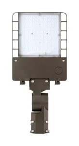 La iluminación de área LED proporciona un diseño funcional y de bajo perfil con una excelente iluminación de calle AREA LIGHT operativa
