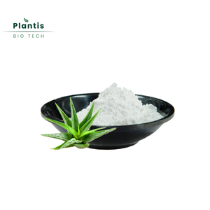 Poudre d'<span class=keywords><strong>aloe</strong></span> <span class=keywords><strong>vera</strong></span> biologique lyophilisée de haute qualité 100x 200x pour la santé digestive de la peau - Product Image 2