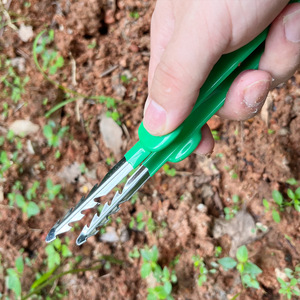 Pince de jardinage en acier inoxydable pour la maison, idéale pour le désherbage, la cueillette de semis et la préparation de graines, pour la plantation de légumes et de fleurs - Product Image 4