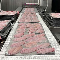Chine Farm-Raised 7-9 oz Filet de tilapia du Nil noir à peau profonde IWP IVP Sac d'emballage pour poissons congelés