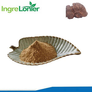 Yüksek Kaliteli Sağlık Takviyesi %30 Polisakkaritler Huaier Mantarı Tozu Trametes Robiniophila Ekstrakt Tozu - Product Image 2