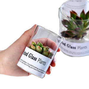<span class=keywords><strong>Vase</strong></span> à fleurs moderne, <span class=keywords><strong>grand</strong></span>, simple, <span class=keywords><strong>cylindrique</strong></span>, <span class=keywords><strong>en</strong></span> <span class=keywords><strong>verre</strong></span> <span class=keywords><strong>transparent</strong></span> écologique, pour plantes vivantes et décorations de mariage - Product Image 6