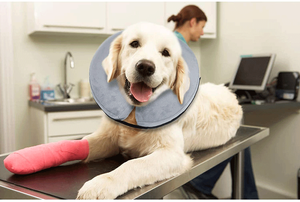 Best Seller Core Cono protector Recuperación de PVC suave Mascotas Gato <span class=keywords><strong>E</strong></span>-<span class=keywords><strong>Collar</strong></span> Perro <span class=keywords><strong>Collar</strong></span> inflable <span class=keywords><strong>Collar</strong></span> de recuperación para perros - Product Image 4