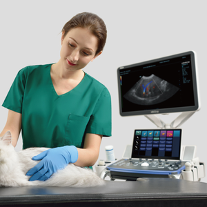 VETUS 8 Mindray 4D siêu âm DOPPLER màu siêu âm thú y hệ thống Độ phân giải cao chẩn đoán hình ảnh thiết bị cho động vật bệnh viện - Product Image 4