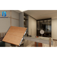 Porte coulissante insonorisée, armoire, placard, composite en aluminium pour une salle de dressing silencieuse et privée