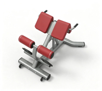 Banc d'hyperextension réglable, portable et durable en acier, chaise romaine pour l'entraînement des muscles du dos et du tronc, équipement de gym