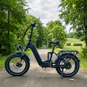 Vélo électrique à pneus larges 500W avec batterie amovible, livraison <span class=keywords><strong>porte</strong></span>-à-<span class=keywords><strong>porte</strong></span>, vélo électrique 20 pouces avec assistance au pédalage pour adultes - Product Image 1