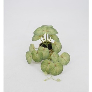 Lierre artificiel en pot, fausses feuilles de lierre, plantes suspendues vertes pour <span class=keywords><strong>la</strong></span> décoration de <span class=keywords><strong>la</strong></span> <span class=keywords><strong>maison</strong></span>, du plafond, de <span class=keywords><strong>la</strong></span> chambre et du salon - Product Image 4