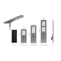 Lámpara Solar para Calle Todo en Uno de 60W 80W, Personalizada de Fábrica, OEM, IP66, Batería LiFePO4, Impermeable, para Jardín y Carretera