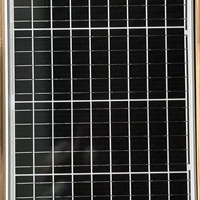 Panneau solaire mono PERC personnalisable 20W 50W 80W 100W tout noir, module PV 12V 18V 24V pour système d'éclairage solaire LED