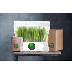 <span class=keywords><strong>Herbe</strong></span> pour <span class=keywords><strong>chat</strong></span> Vente en gros Sans sol <span class=keywords><strong>Bio</strong></span> Hydroponique 5 pièces Snacks pour animaux de compagnie Manger de la nourriture Plantation Bol en plastique <span class=keywords><strong>Herbe</strong></span> pour <span class=keywords><strong>chat</strong></span> - Product Image 2