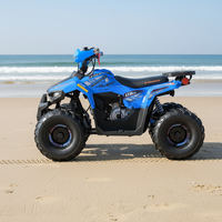 Quad Tao Motor 2025, nouveau quad chinois pas cher pour enfants, ATV 110cc avec EPA CE