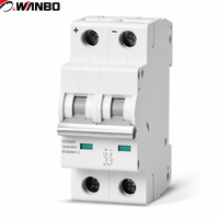 Wanbo-516 DC 800V 10kA Disjoncteur solaire photovoltaïque MCCB avec poignée grise, capuchon de polarité, LED verte 6A-63A Rail DIN IEC 60947-2