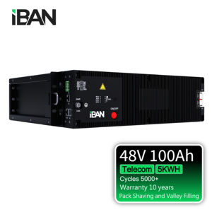 Batterie au lithium à décharge profonde personnalisée professionnelle 6000 cycles -20 ℃   - + 55 ℃   Batterie au lithium 48V 100Ah - Product Image 2