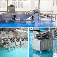 Chaîne de production automatique de pâtes pour la fabrication de sauce au piment, de pâte de tomate et de pâte de piment arabe, utilisant un moulin colloïdal pour mayonnaise, modèle Mini