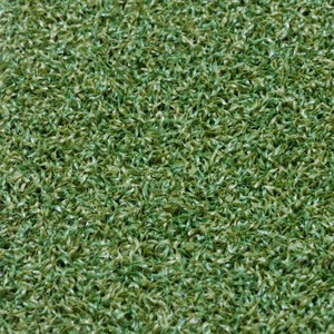 Piste de gym nordique moderne haute noire de luxe traîneau Crossfit Training Grass Turf Track pour l'intérieur Fitness Cardio - Product Image 4