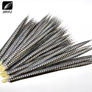 Usine En Gros 60-110cm Simulé Femelle Mâle <span class=keywords><strong>Faisan</strong></span> Queue DIY Chapeaux Accessoires Lady Amherst <span class=keywords><strong>Faisan</strong></span> Queue Plumes - Product Image 4