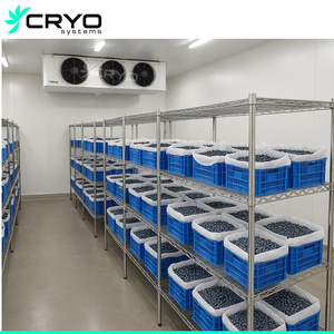 Nhiệt độ nhạy cảm các mặt hàng kiểm soát bầu không khí lưu trữ phòng lạnh ca lưu trữ cho Apple trái cây - Product Image 5