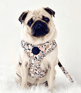 Diseño único Reversible Mascota <span class=keywords><strong>Collar</strong></span> Correa Conjunto Arnés Fabricantes Bordado Perro Arnés Perro Pequeño - Product Image 1