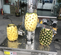 Machine à éplucher les fruits et légumes GOOPIKK, machine à éplucher la cantaloup, la loofah, le melon amer, la citrouille, la pastèque, la mangue, l'ananas