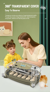 Chim bồ câu tự động gia cầm Nở trứng lồng ấp gà lồng ấp trứng lồng ấp nở - Product Image 6