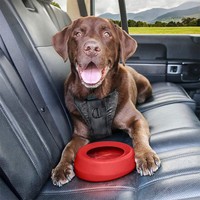 Bol d'eau pliable anti-déversement pour chien 500ml bol de nourriture pour animaux de compagnie en silicone pliable pour chiens et chats