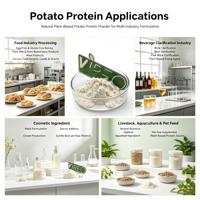 Isolat de protéines de pomme de terre à 90 % et améliorateurs nutritionnels en poudre, qualité alimentaire, approvisionnement en vrac, 1 kg/sac, 25 kg/fût, fabricant
