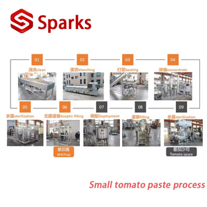 Vollautomatische Tomatensaucen-Produktionslinie |   Industrielle Chilisauce- und Tomatenmark-Herstellungsmaschine - Product Image 6