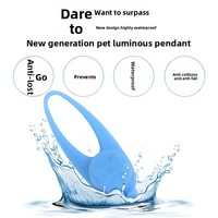 Nuit Chien Marche Lumière Anti-Collision LED Pendentif Lumineux Teddy Anti-Perdu Collier Lumineux Silicone Collier Dog Tag Solide