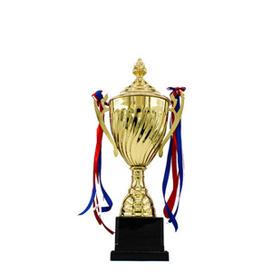 Thể thao kim loại Trophy cup bán buôn Huy chương vàng mạ kim loại với nhựa huy chương Châu Âu giải thưởng nghệ thuật dân gian cơ sở thể thao mạ Trophy - Product Image 2