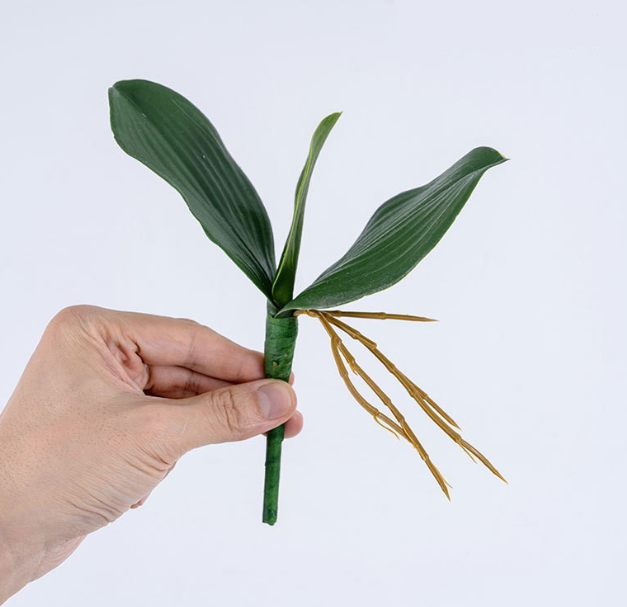 Petit-22cm-3 feuilles