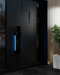 Puerta pivotante de acero inoxidable Exterior de EE. UU. Diseño de lujo Entrada principal Puerta mental Puerta delantera de seguridad de acero Exterior para el hogar - Product Image 3