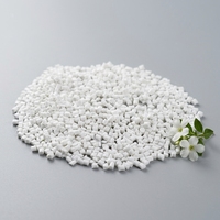 Granulés de nylon renforcé de fibres de verre PA6 GF15 GF20 GF30, granulés de polyamide 6 modifiés GF% personnalisés pour le moulage par injection