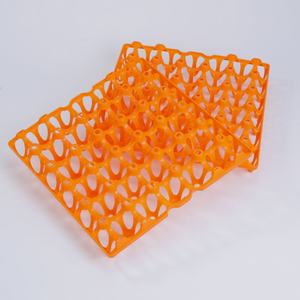 Vente en gros Chuangduo Plateau de transport d'oeufs en plastique coloré 30 cellules pour poulet Nouvelle condition Type automatique Haute productivité - Product Image 5