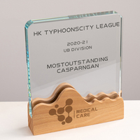 JN personnalisé conception gratuite logo cristal plaque en bois cristal pas cher souvenir trophée en bois