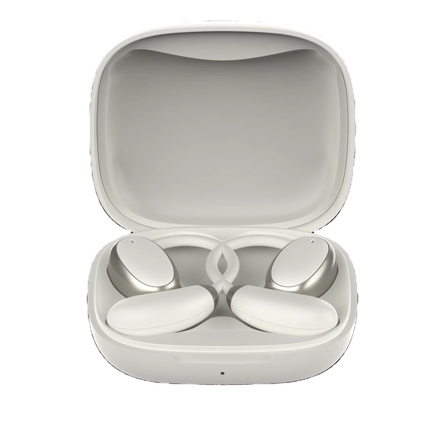 Translation Headset Conference Headset Multi-language Translation Travel Translator Earbuds