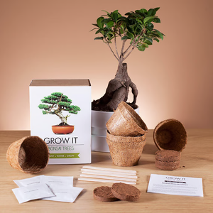 Kit de inicio de jardín interior de estilo rural, casa de árbol de bonsái DIY, macetas para cultivo de plantas, maceta, maceta para vivero, escritorio embalado en cartón - Product Image 2