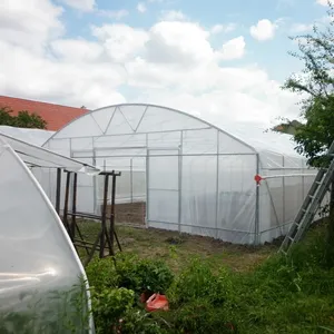 Bingkai baja galvanis Film PE lebar tunggal rumah kaca untuk pertanian terowongan biaya rendah rumah kaca untuk tanaman bunga