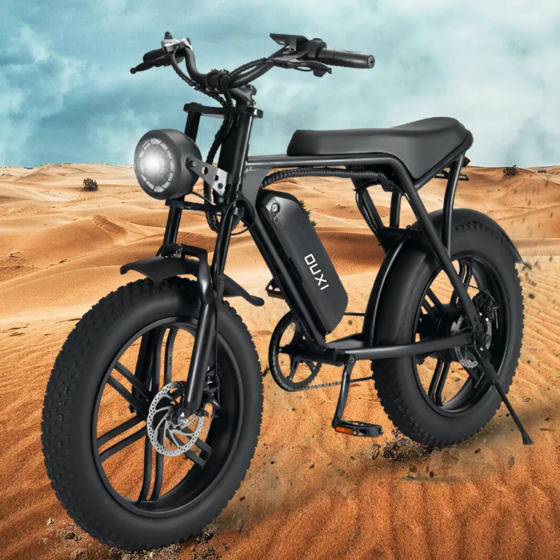 EU-Lagerbestand 750w 1000w Doppel batterie Fett reifen Naben motor Electric Mountain 250w Hybrid Bike City Bicycle