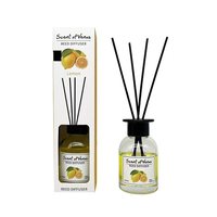 Diffuseur d'ambiance 100 ml avec bâtonnets parfumés aux fruits, parfum d'intérieur en stock pour livraison immédiate, mangue et pastèque