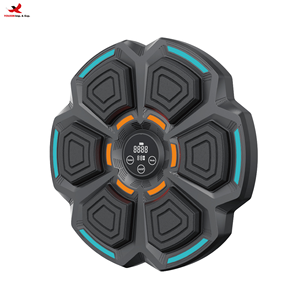 Máquina de Boxeo Inteligente con Música para Pared, Objetivo de Boxeo Doméstico, Herramientas de Cuidado Personal, GZ RTS, Venta al por Mayor, Envío en 3 Días, Pedidos Mixtos a Granel - Product Image 1