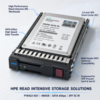 HPE 480GB SATA 6G Read Intensive SFF (2.5in) SC P04560-B21