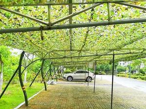 Filet de <span class=keywords><strong>camouflage</strong></span> en tissu oxford, 210D, forêt, désert, mer, pour le Camping, cache, décoration de la maison, parasol - Product Image 6