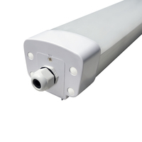 Tubo de luz Led T8 a prueba de agua, luz led a prueba de agua, 20W, fluorescente